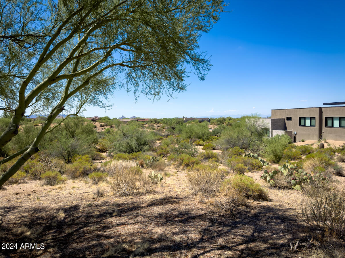 10258 East Joy Ranch Road, Unit 397 Scottsdale, AZ 85262 - Photo 14 of 16 IMG_6984