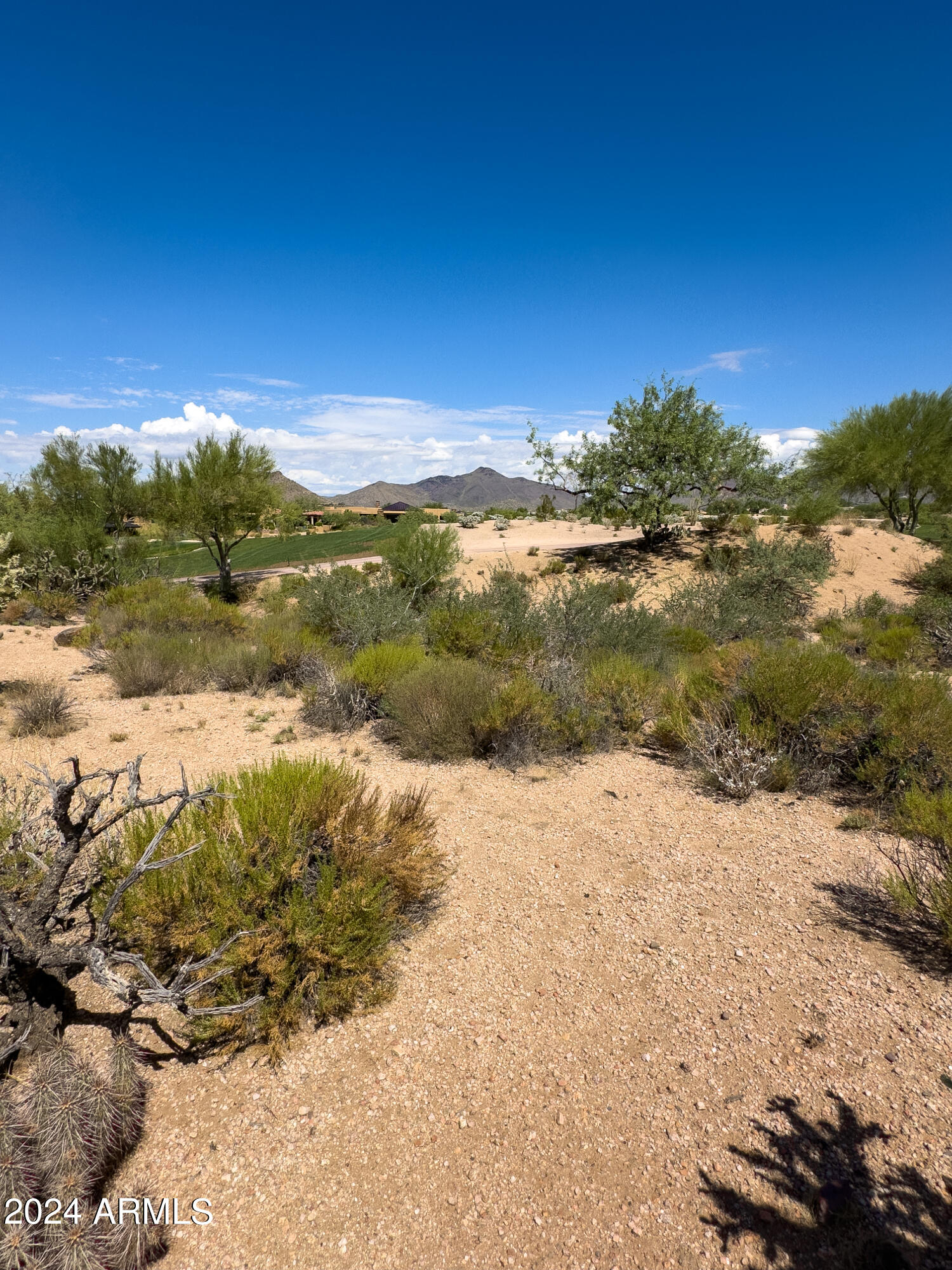 10258 East Joy Ranch Road, Unit 397 Scottsdale, AZ 85262 - Photo 10 of 16 Walking through 2