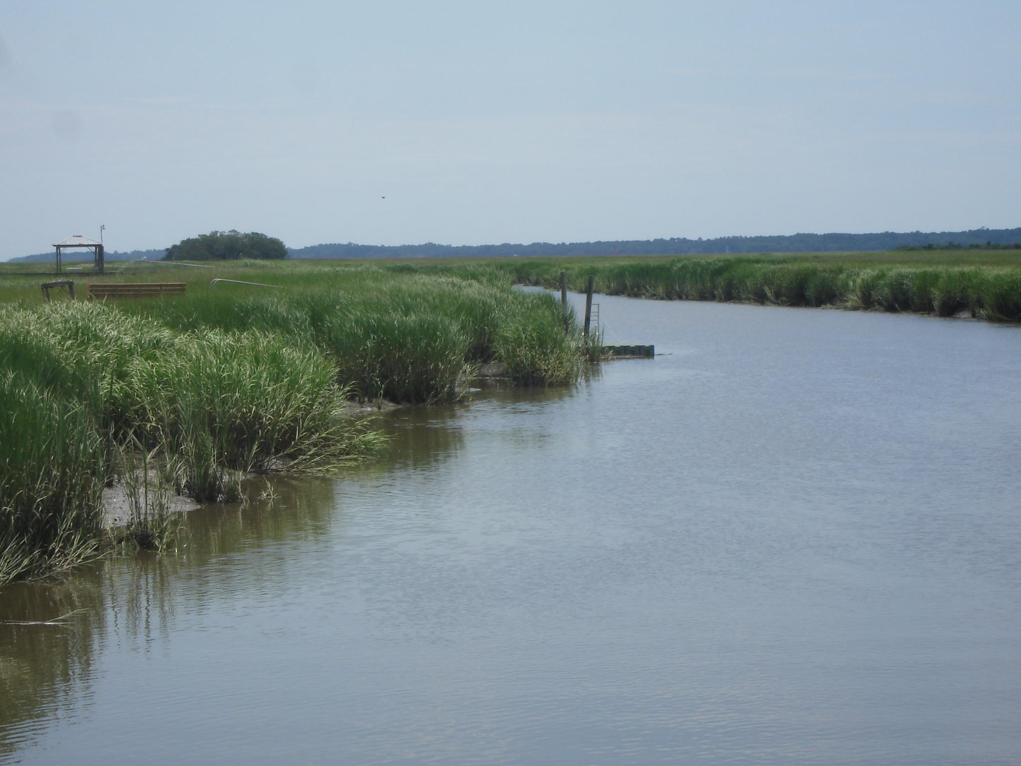 7727 White Point Road Meggett, SC 29449 - Photo 1 of 20 whitepoint (5)