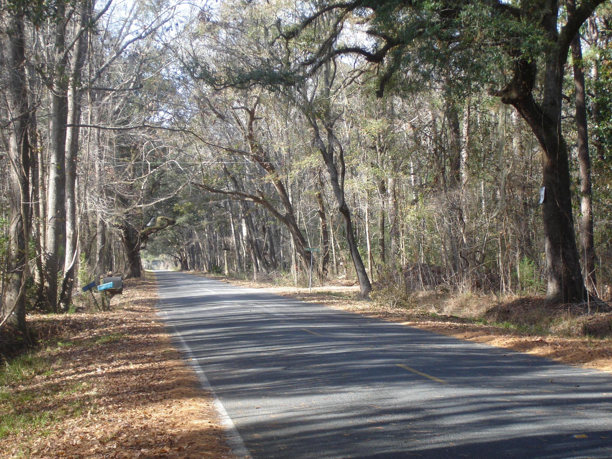 7727 White Point Road Meggett, SC 29449 - Photo 20 of 20 white point waring (2)