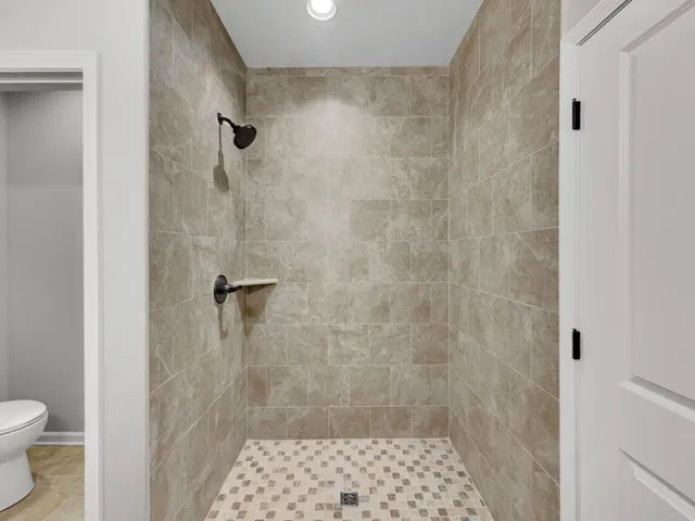 a bathroom with a shower and a toilet