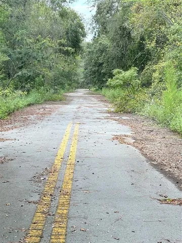 $17,500 | Tbd Tbd 237th Place, Salt Springs, FL 32134