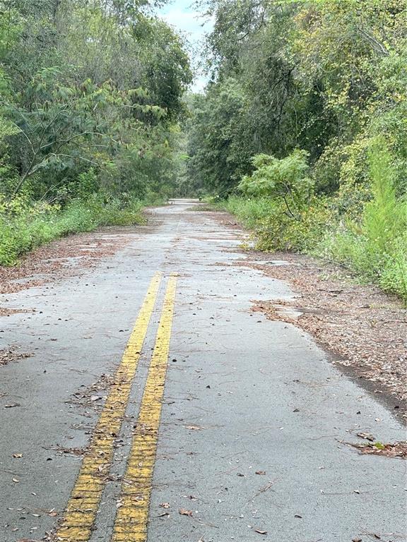 0 Northeast 237th Court Salt Springs, FL 32134 - Photo 2 of 3
