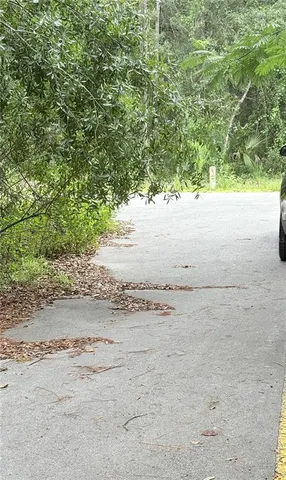 $17,500 | Tbd Tbd 237th Place, Salt Springs, FL 32134