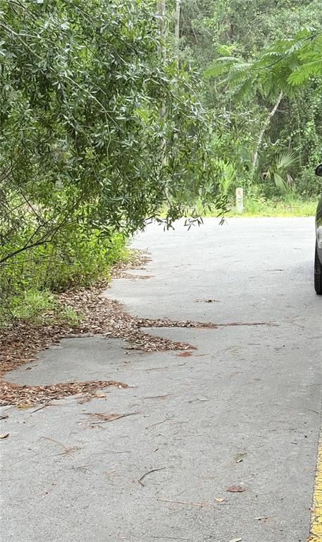 0 Northeast 237th Court Salt Springs, FL 32134 - Photo 3 of 3