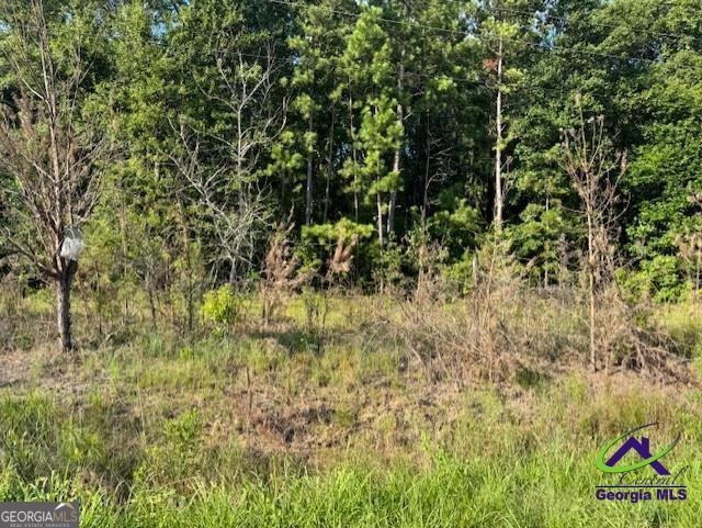 8641 Hopewell Road Lizella, GA 31052 - Photo 2 of 3