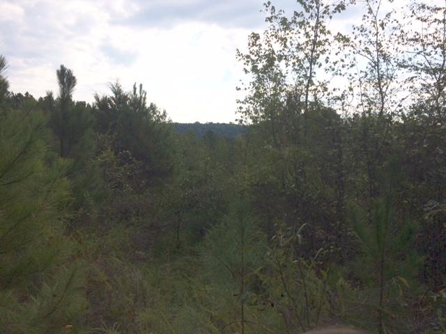 Lot 30 Mcdowell Lane Decatur, TN 37322 - Photo 8 of 11 IMG_2558
