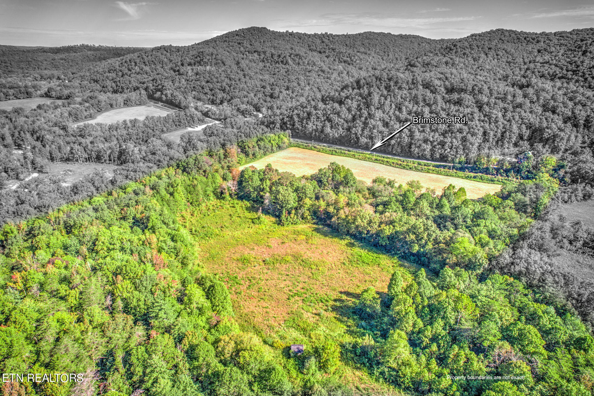 Brimstone Rd Road Robbins, TN 37852 - Photo 11 of 20 11-web-or-mls-Brmstn4180 (26)