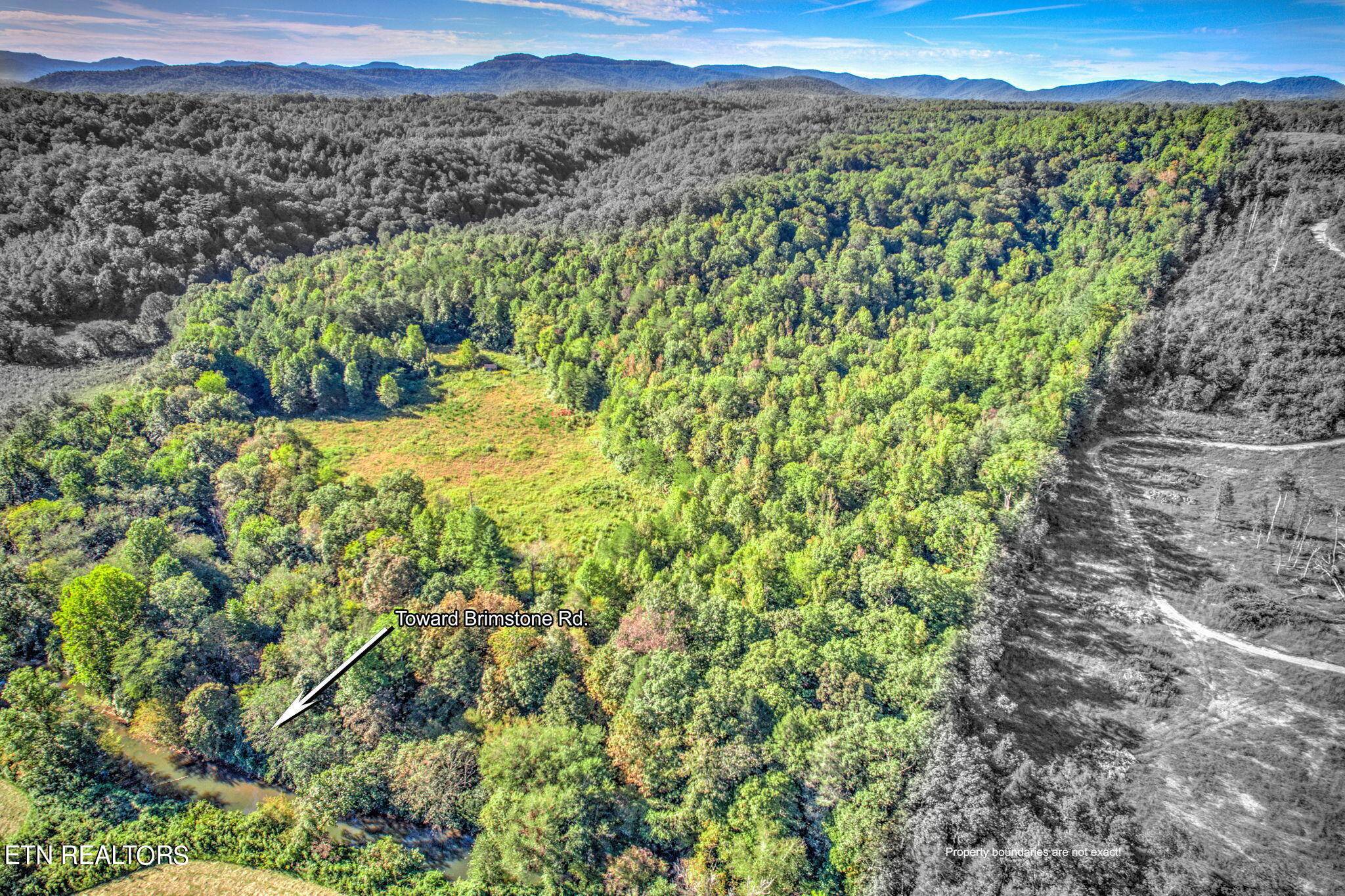 Brimstone Rd Road Robbins, TN 37852 - Photo 12 of 20 12-web-or-mls-Brmstn4180 (10)