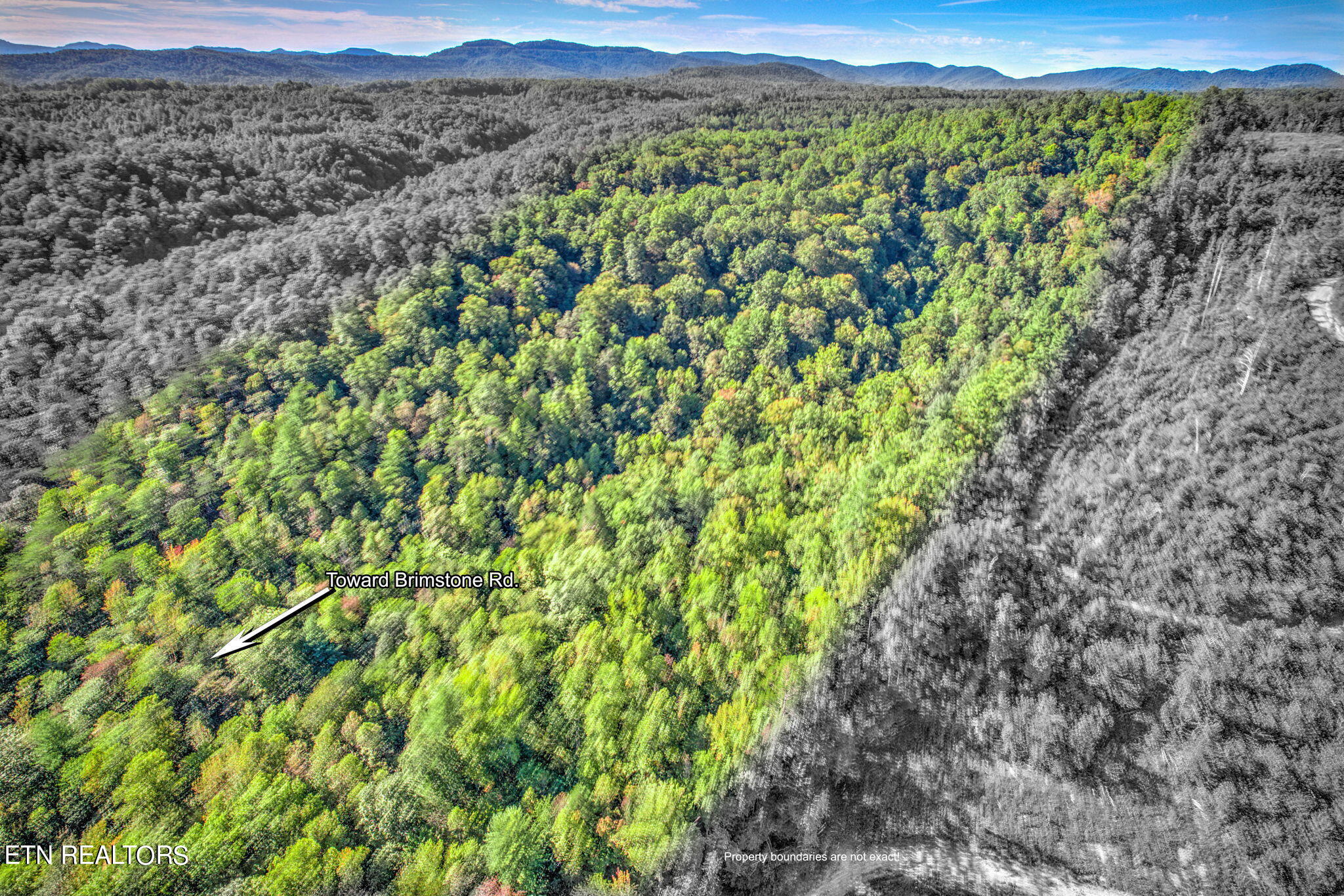 Brimstone Rd Road Robbins, TN 37852 - Photo 13 of 20 13-web-or-mls-Brmstn4180 (11)