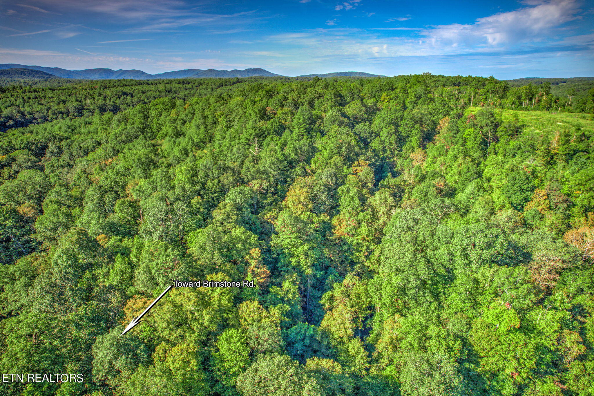 Brimstone Rd Road Robbins, TN 37852 - Photo 14 of 20 14-web-or-mls-Brmstn4180 (12)