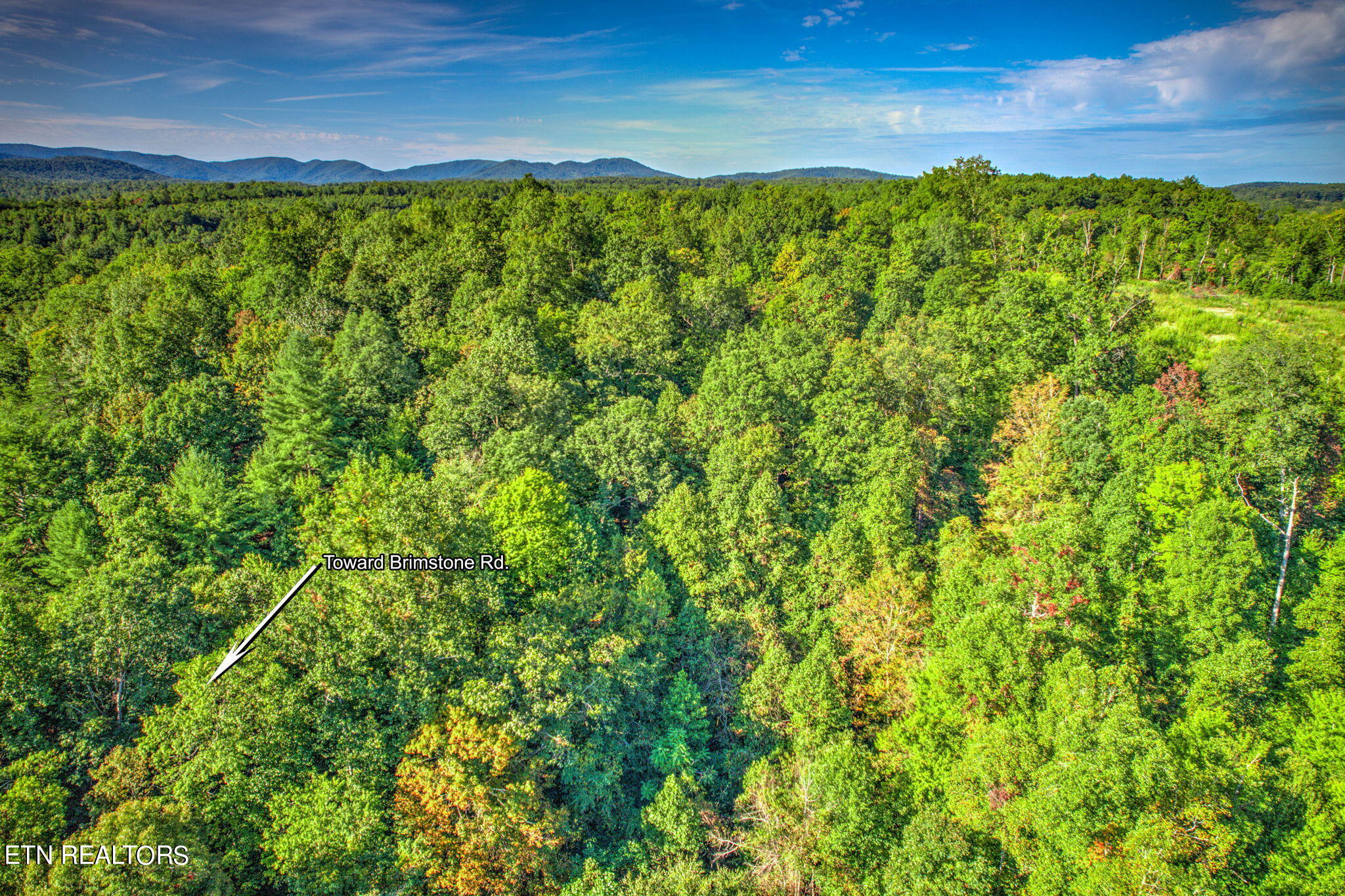 Brimstone Rd Road Robbins, TN 37852 - Photo 15 of 20 15-web-or-mls-Brmstn4180 (14)