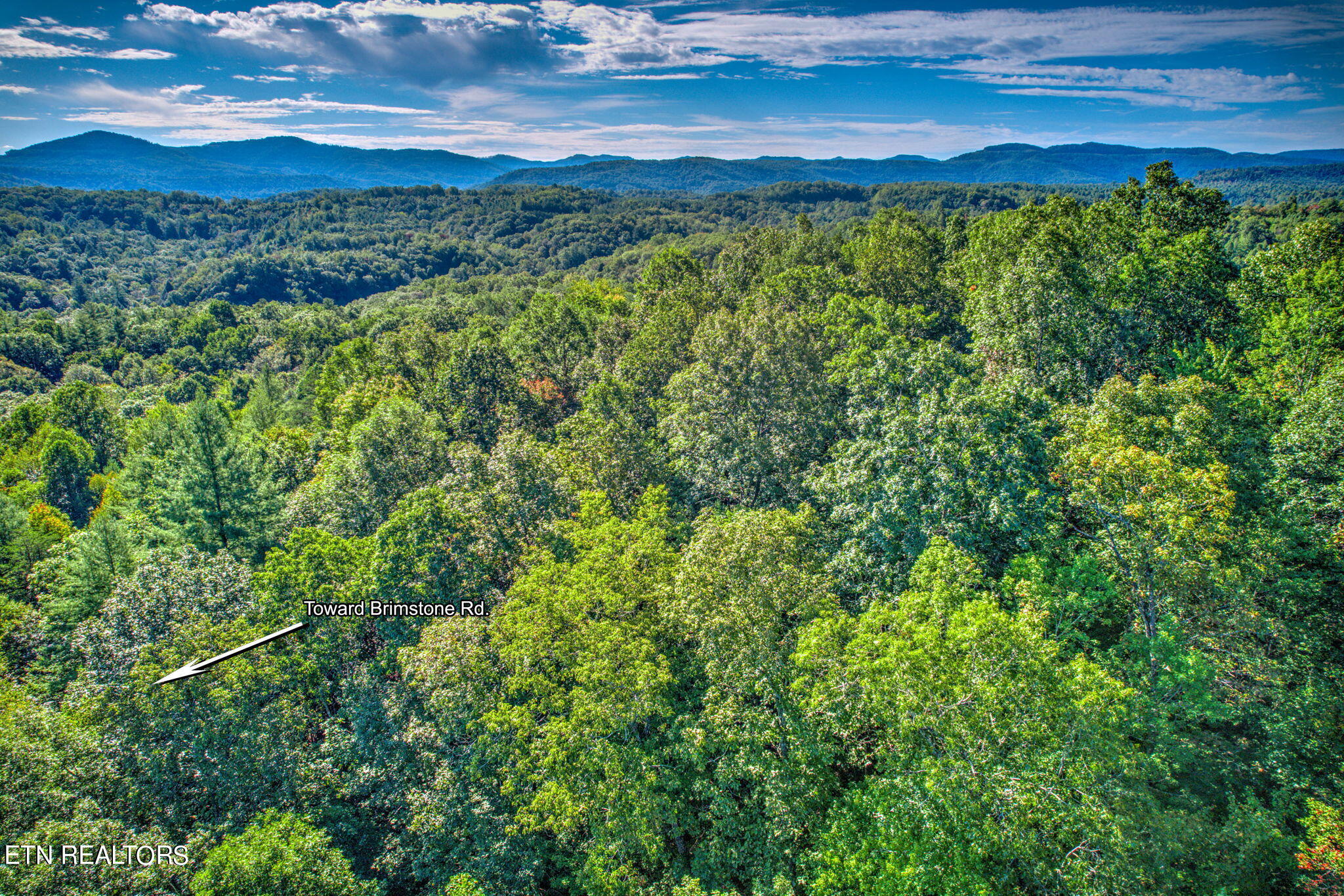 Brimstone Rd Road Robbins, TN 37852 - Photo 16 of 20 16-web-or-mls-Brmstn4180 (16)