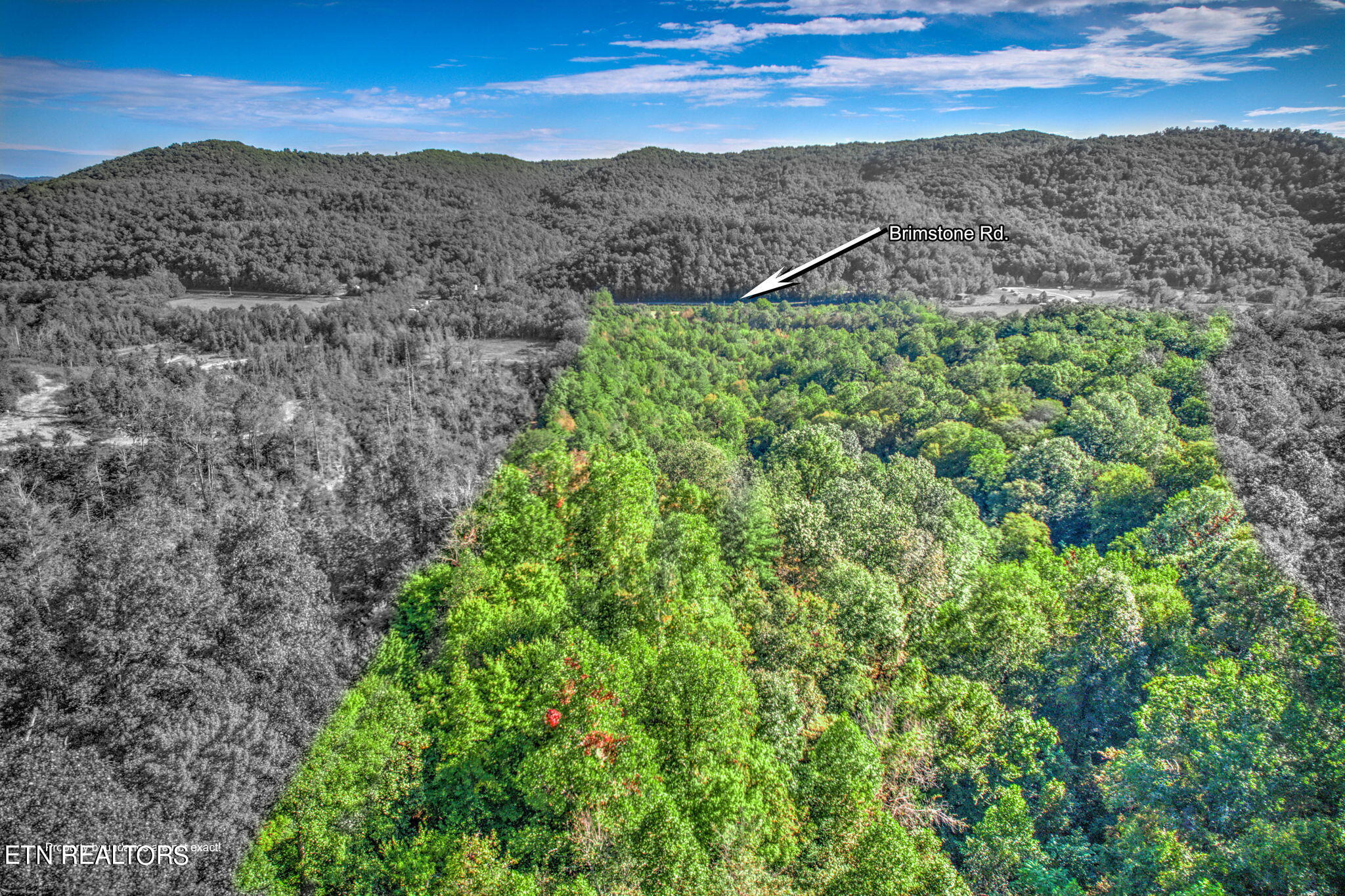 Brimstone Rd Road Robbins, TN 37852 - Photo 17 of 20 17-web-or-mls-Brmstn4180 (15)