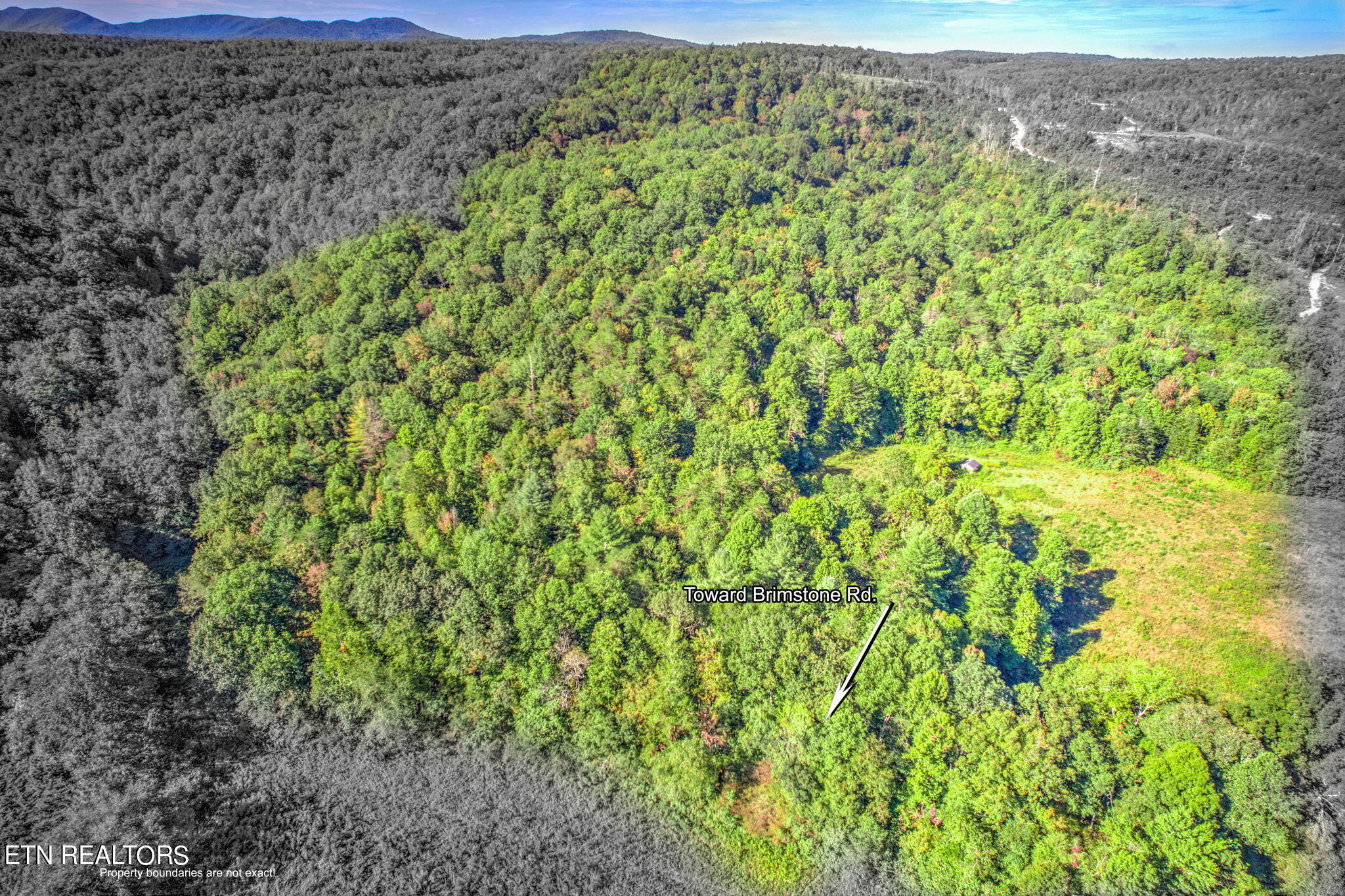 Brimstone Rd Road Robbins, TN 37852 - Photo 20 of 20 20-web-or-mls-Brmstn4180 (21)