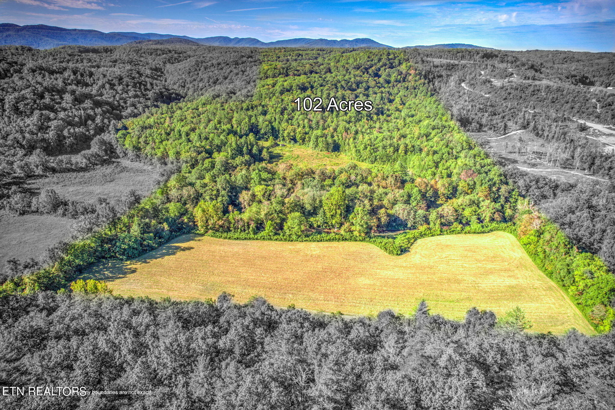 Brimstone Rd Road Robbins, TN 37852 - Photo 2 of 20 2-web-or-mls-Brmstn4180 (8)