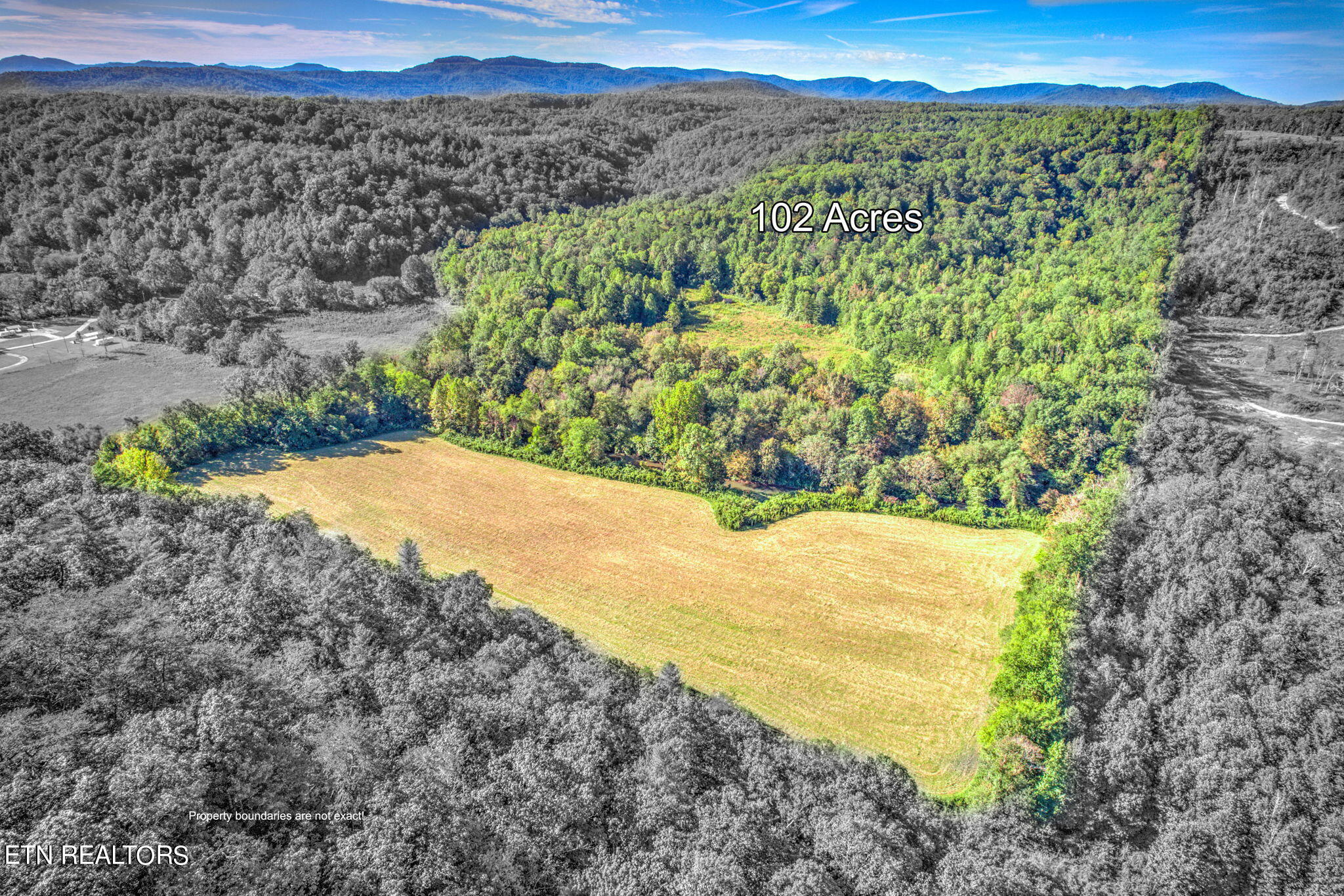 Brimstone Rd Road Robbins, TN 37852 - Photo 3 of 20 3-web-or-mls-Brmstn4180 (9)