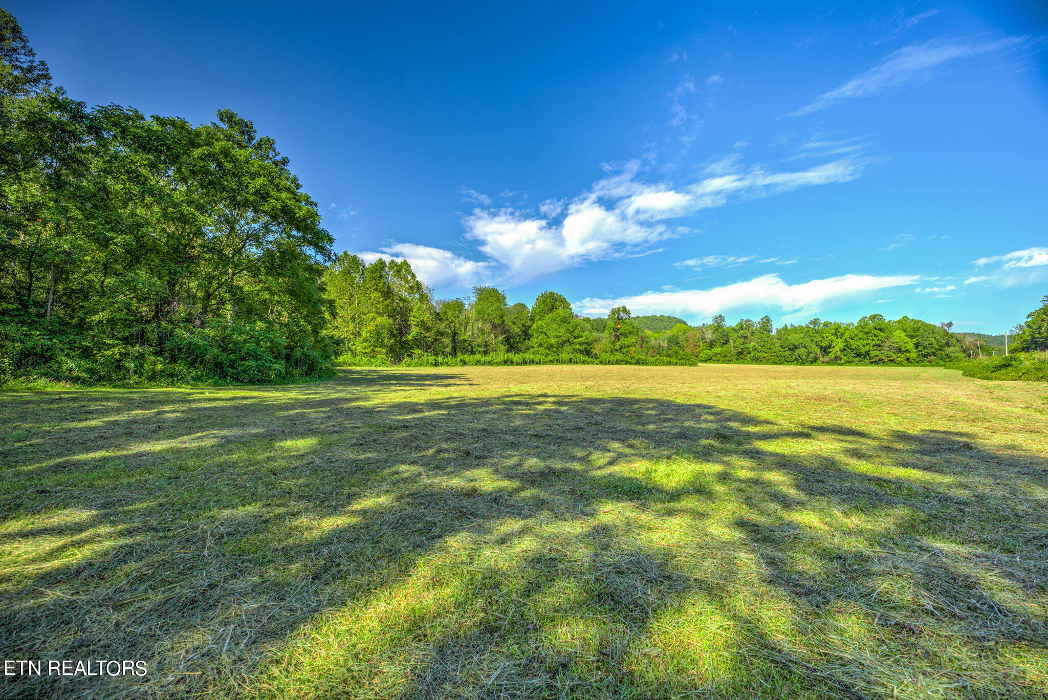 Brimstone Rd Road Robbins, TN 37852 - Photo 4 of 20 4-web-or-mls-Brmstn4180 (2)