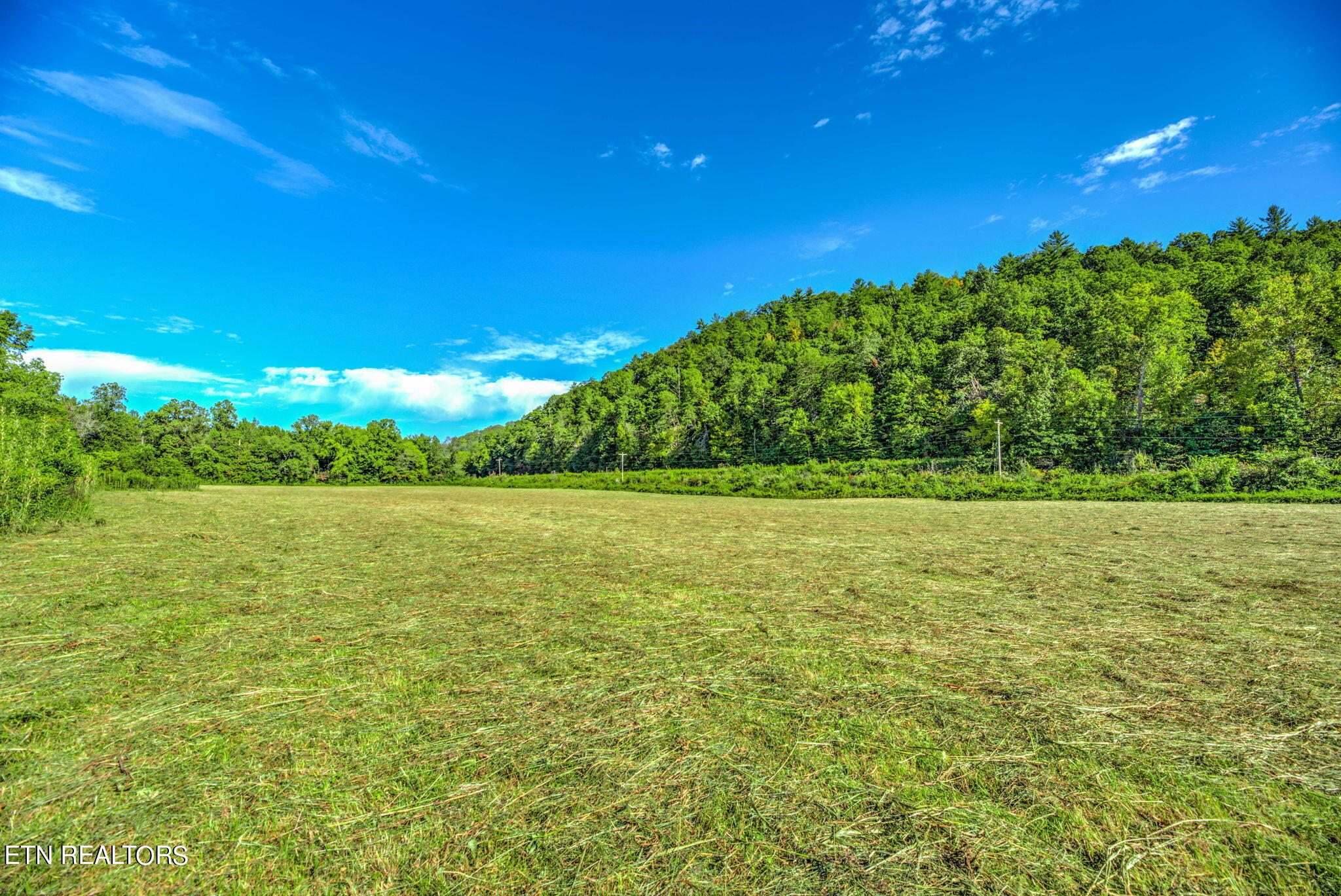 Brimstone Rd Road Robbins, TN 37852 - Photo 5 of 20 5-web-or-mls-Brmstn4180 (19)