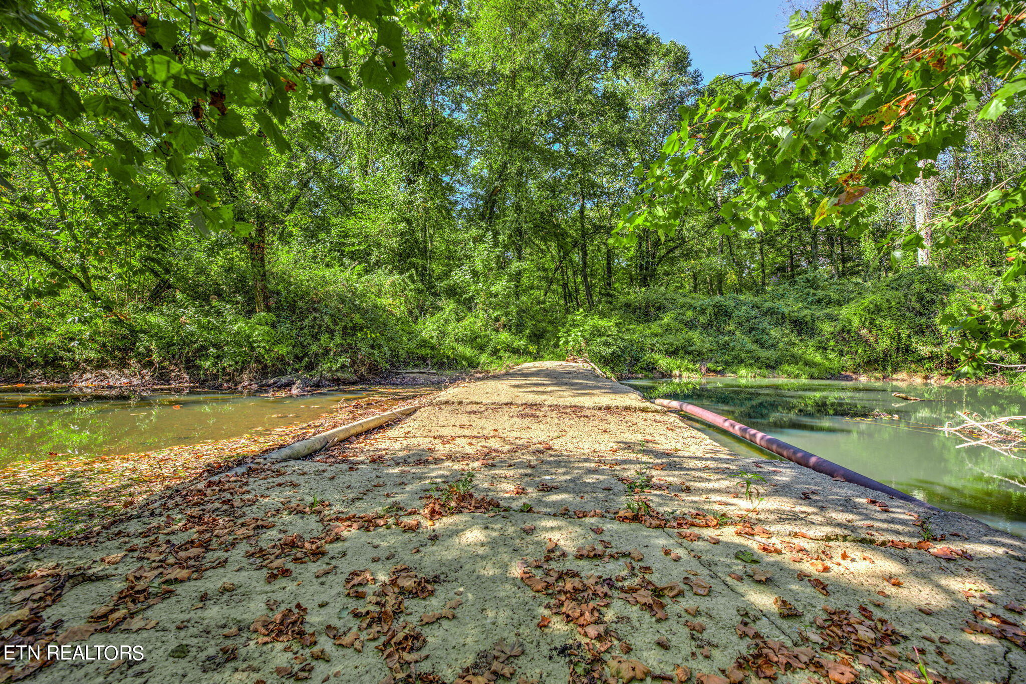 Brimstone Rd Road Robbins, TN 37852 - Photo 6 of 20 6-web-or-mls-Brmstn4180 (3)