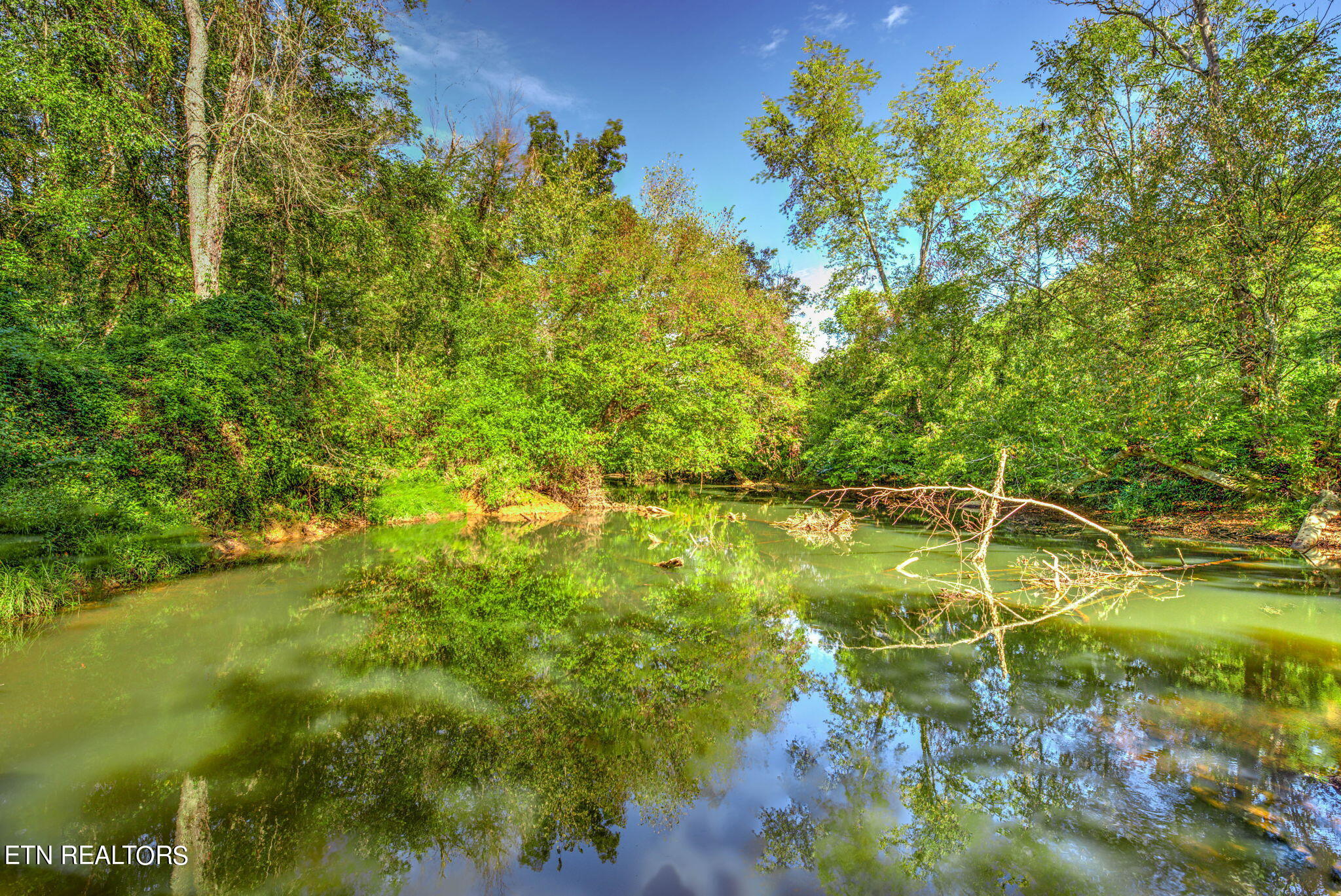 Brimstone Rd Road Robbins, TN 37852 - Photo 7 of 20 7-web-or-mls-Brmstn4180 (5)
