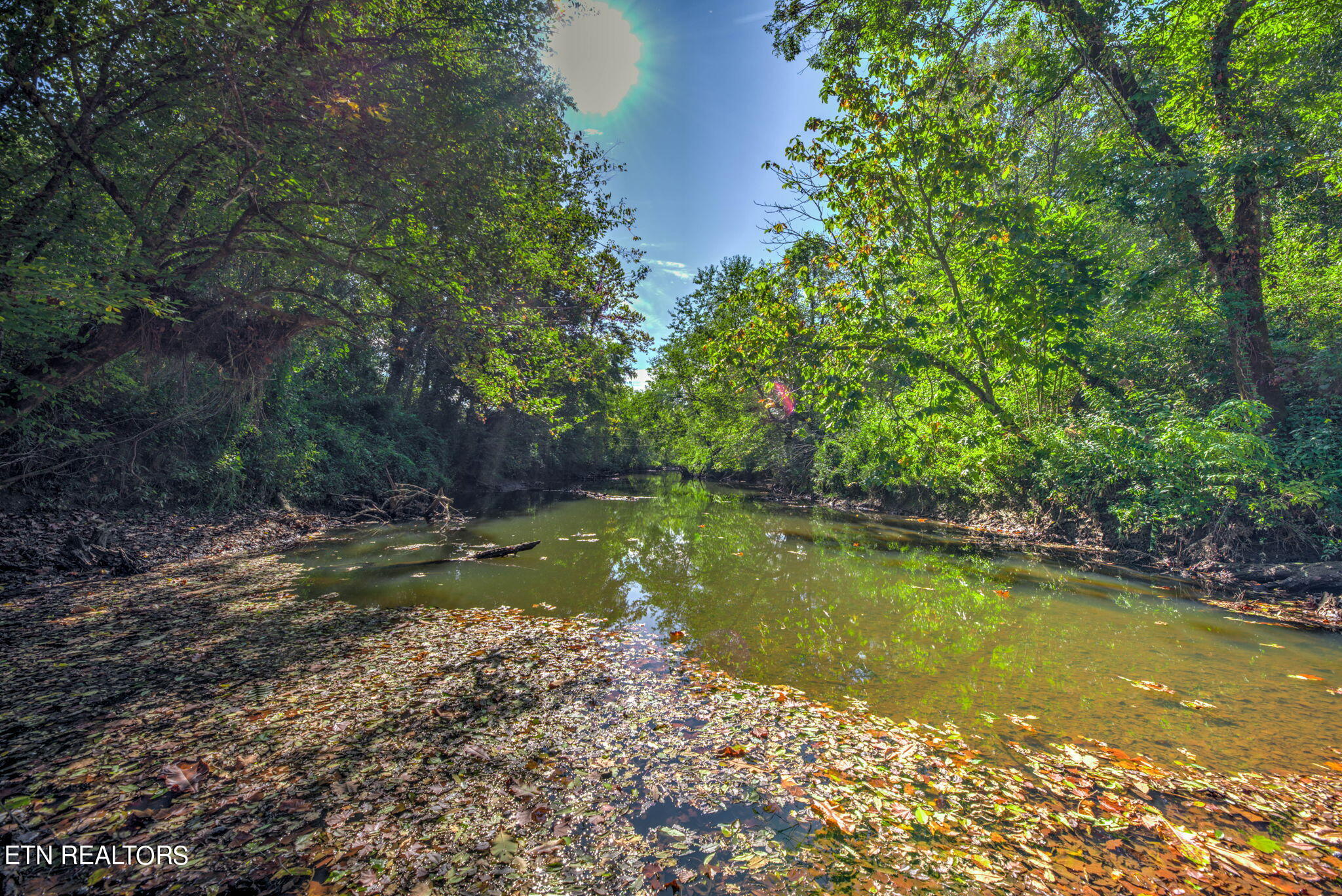 Brimstone Rd Road Robbins, TN 37852 - Photo 8 of 20 8-web-or-mls-Brmstn4180 (6)