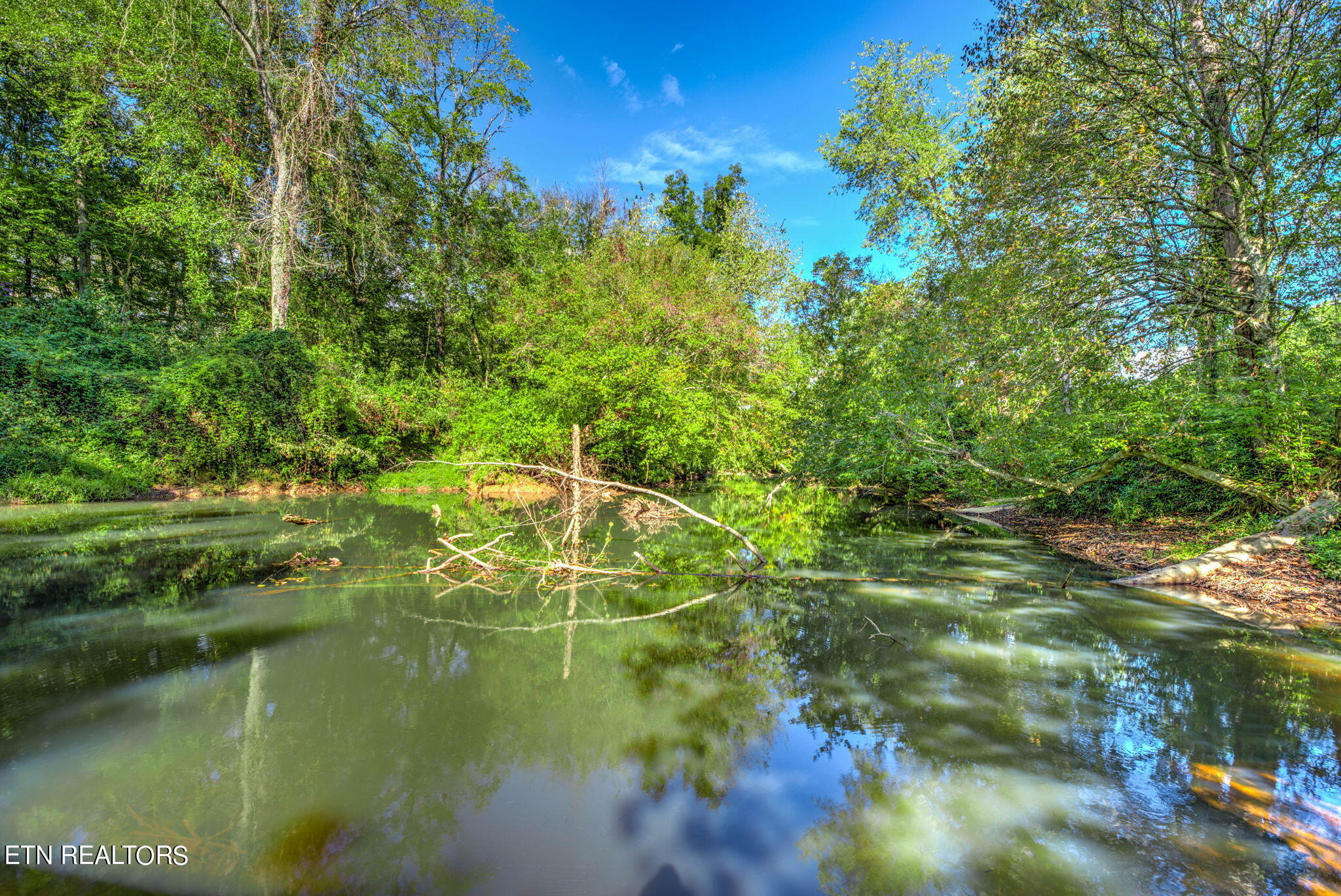 Brimstone Rd Road Robbins, TN 37852 - Photo 9 of 20 9-web-or-mls-Brmstn4180 (7)