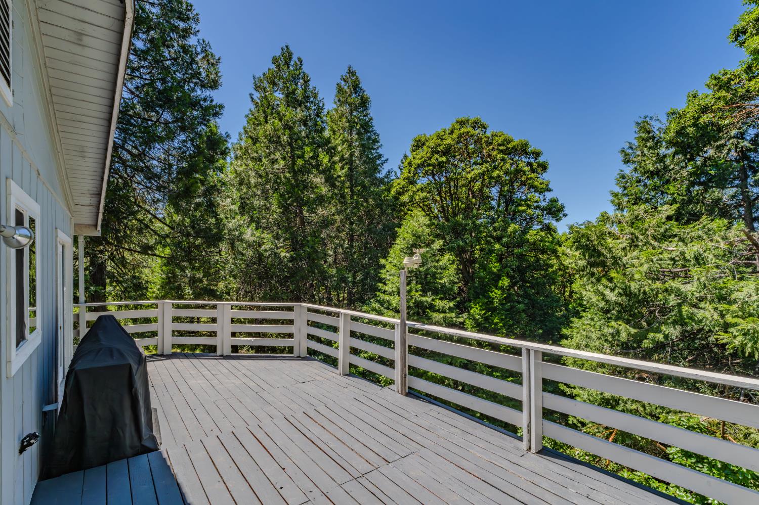 15853 Schaefer Ranch Road Pioneer, CA 95666 - Photo 47 of 68