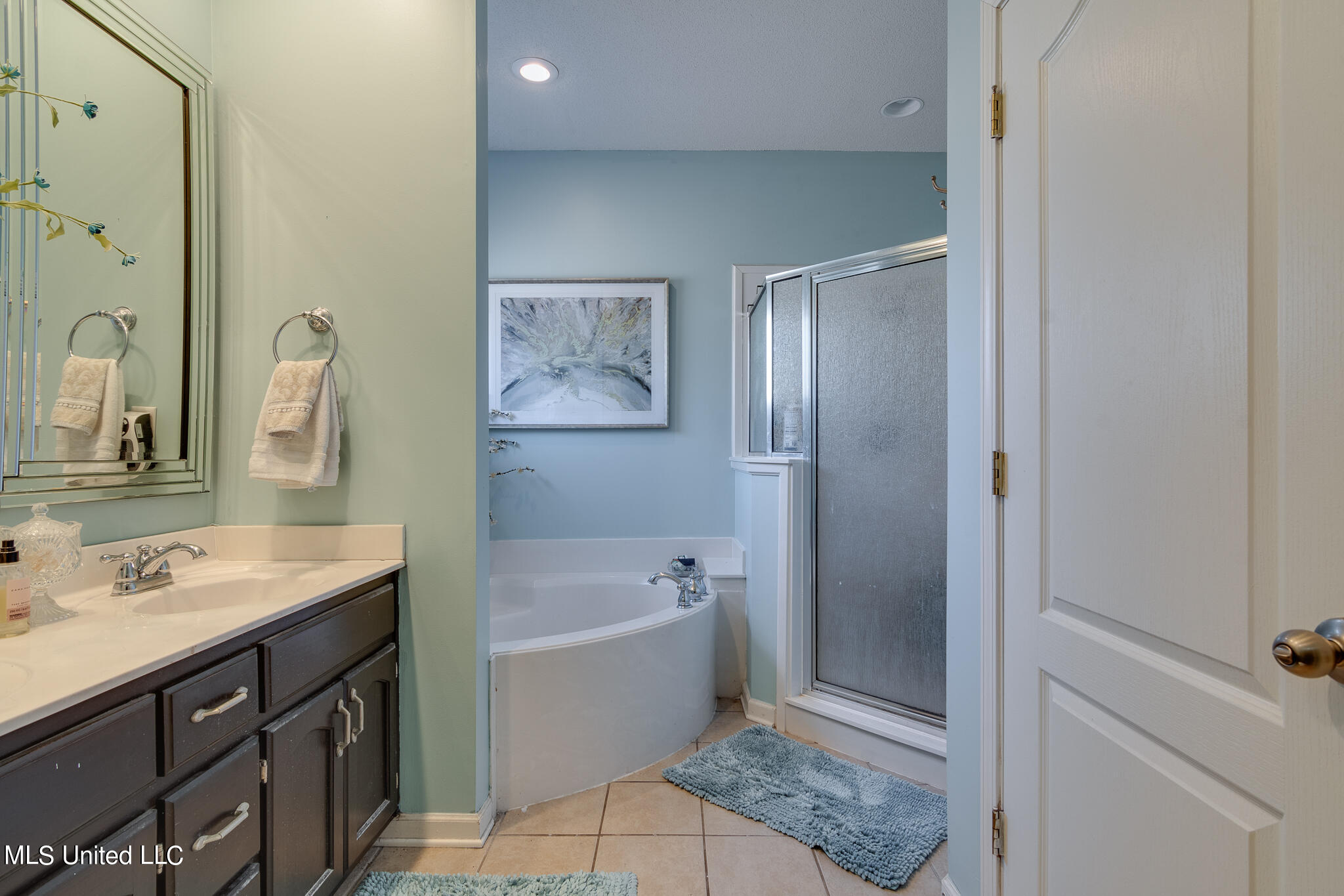 7365 Redbud Road Olive Branch, MS 38654 - Photo 32 of 41 separate tub and shower