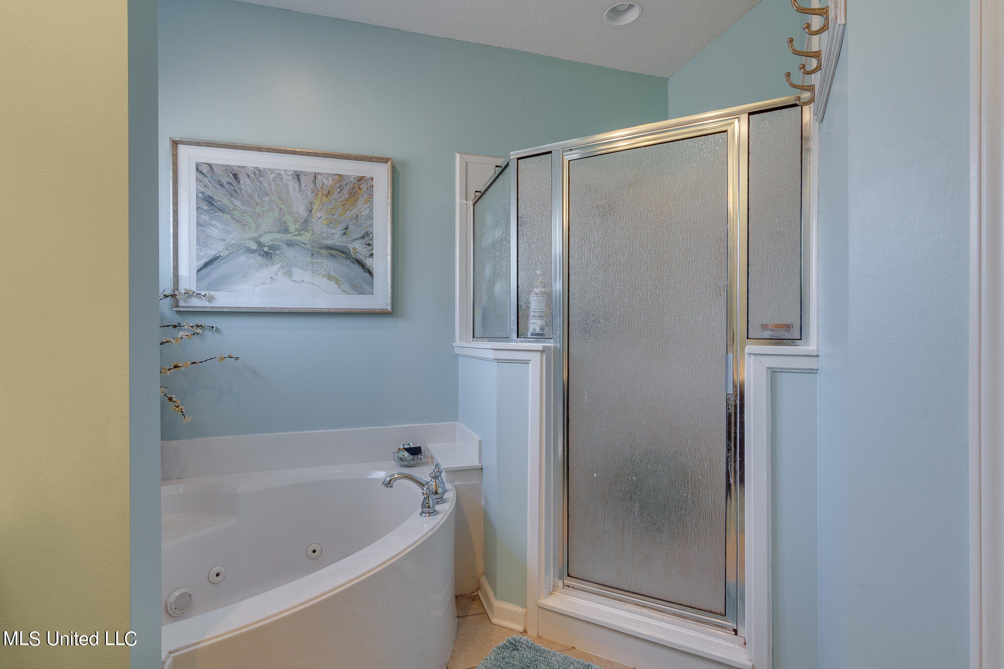 7365 Redbud Road Olive Branch, MS 38654 - Photo 33 of 41 corner jetted tub, separate shower