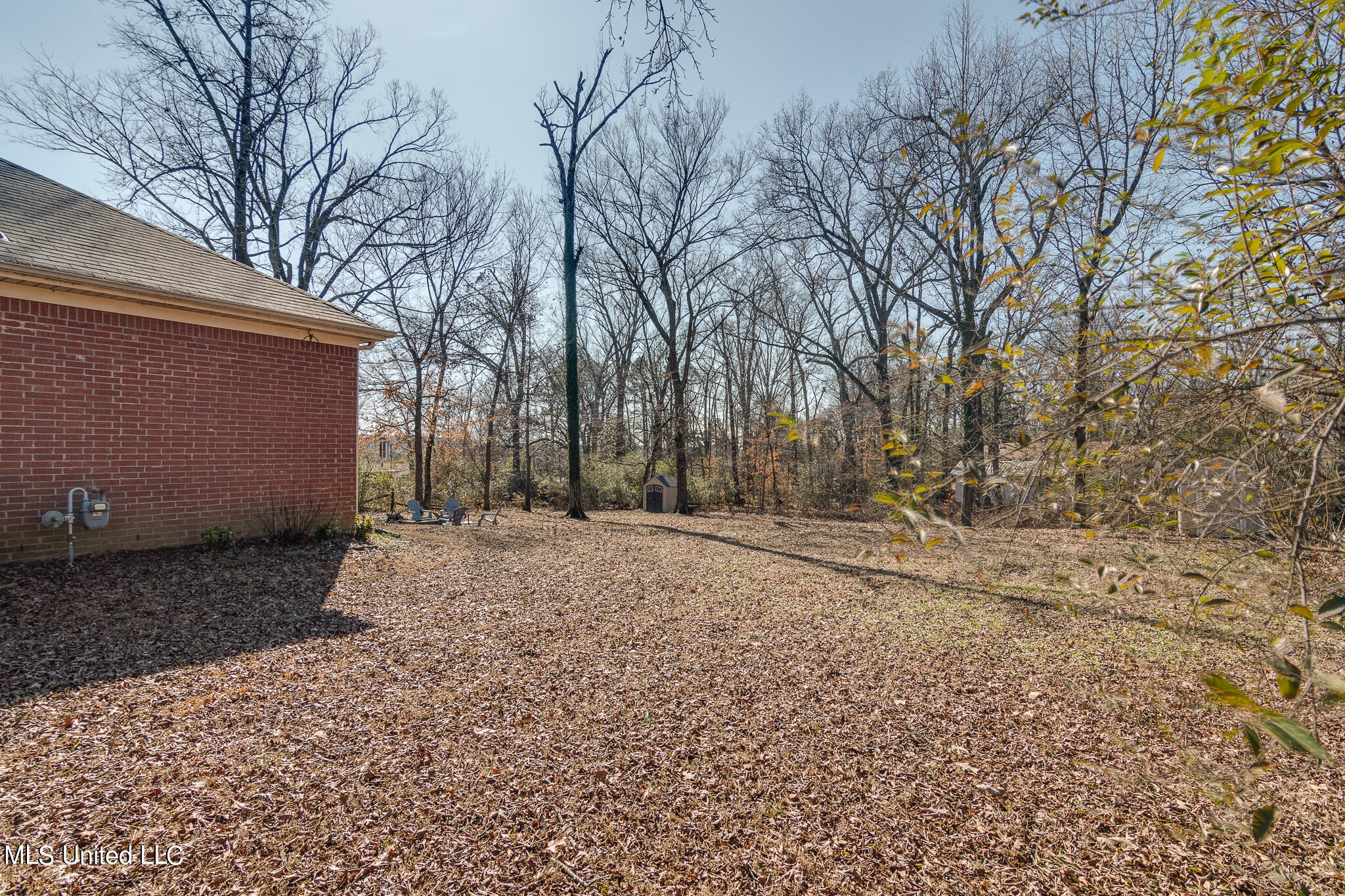 7365 Redbud Road Olive Branch, MS 38654 - Photo 36 of 41 back yard