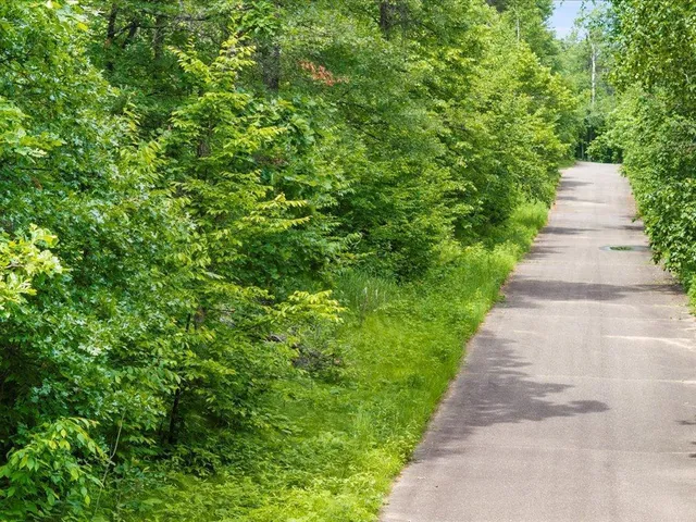 $100,000 | Tbd Dog Leg Drive, Pequot Lakes, MN 56472