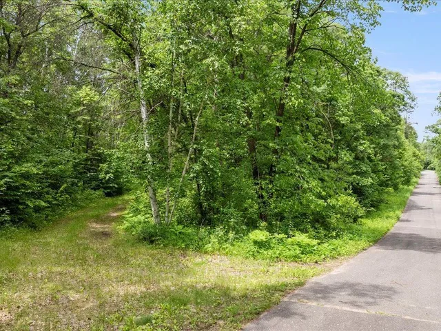 $100,000 | Tbd Dog Leg Drive, Pequot Lakes, MN 56472