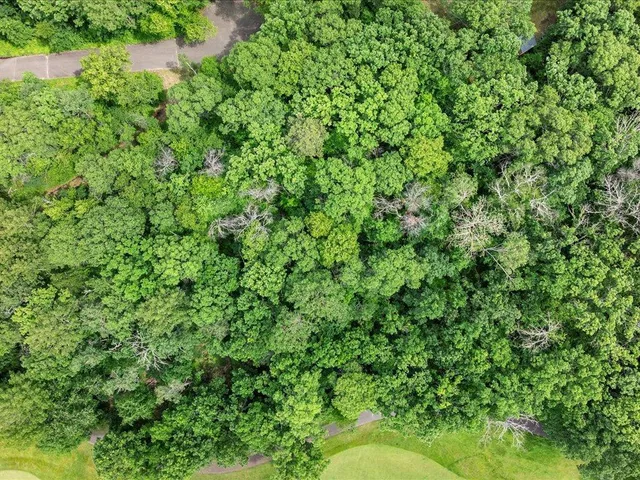 $100,000 | Tbd Dog Leg Drive, Pequot Lakes, MN 56472