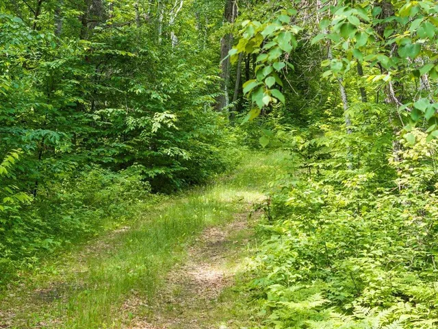 $100,000 | Tbd Dog Leg Drive, Pequot Lakes, MN 56472