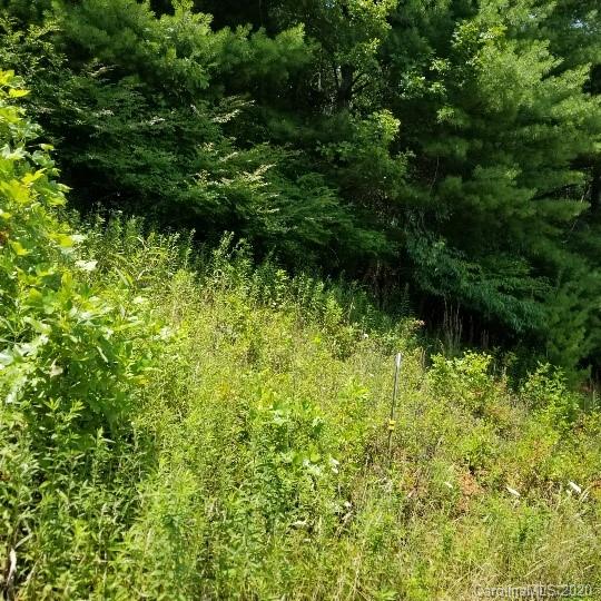 Tbd-10 Ivy Ridge Road Burnsville, NC 28714 - Photo 6 of 7 a view of a garden