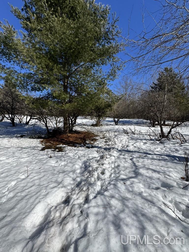 Tbd Bellaire Road Baraga, MI 49908 - Photo 5 of 20