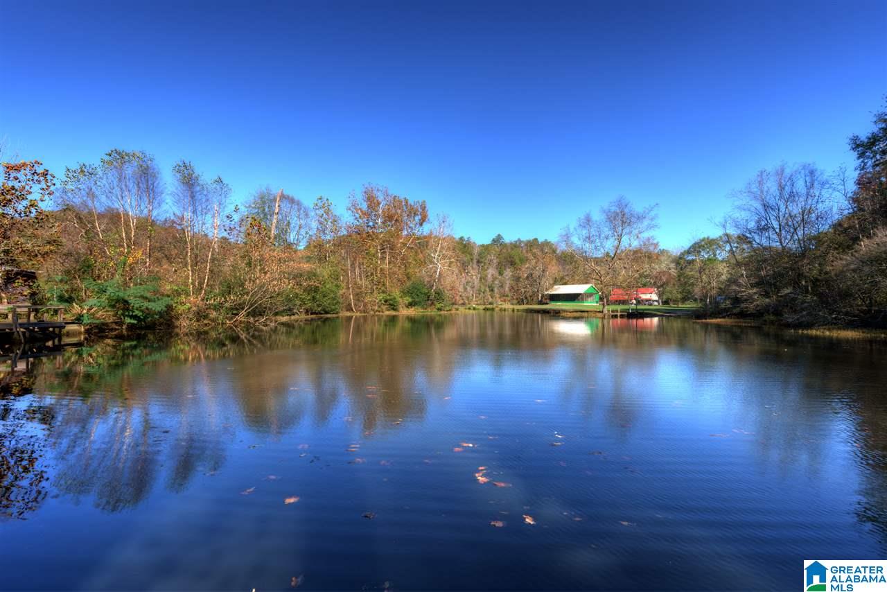 414 Pine Lane Quinton, AL 35130 - Photo 25 of 25