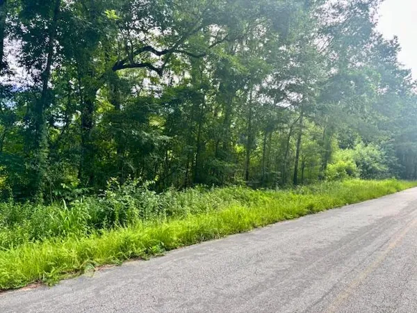 $250,000 | 8946 Anderson Road, Adams Run, SC 29426