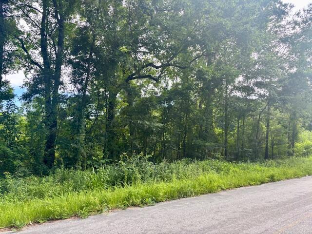 8946 Anderson Road Adams Run, SC 29426 - Photo 2 of 8 IMG_8456