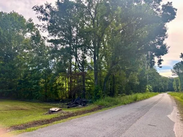 $250,000 | 8946 Anderson Road, Adams Run, SC 29426