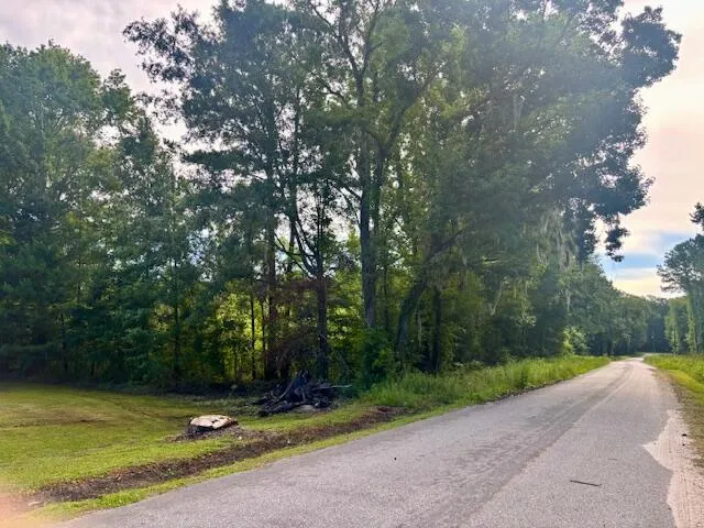 $250,000 | 8946 Anderson Road, Adams Run, SC 29426