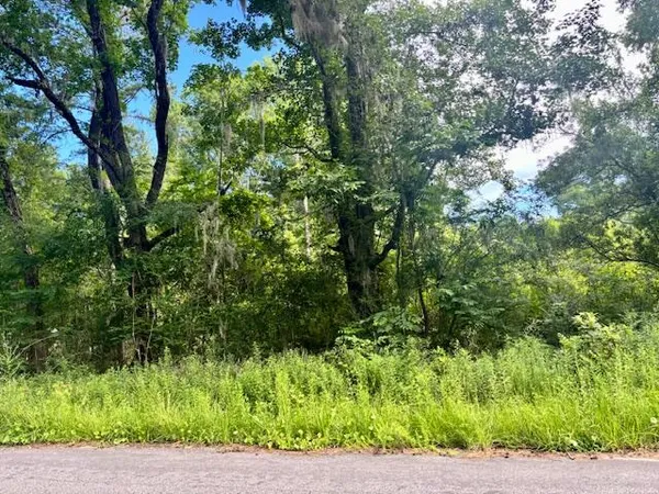 $250,000 | 8946 Anderson Road, Adams Run, SC 29426