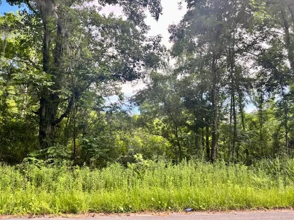 $250,000 | 8946 Anderson Road, Adams Run, SC 29426