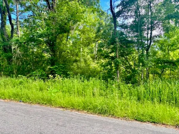 $250,000 | 8946 Anderson Road, Adams Run, SC 29426