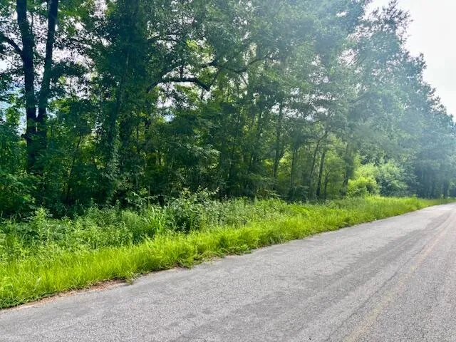 $250,000 | 8946 Anderson Road, Adams Run, SC 29426