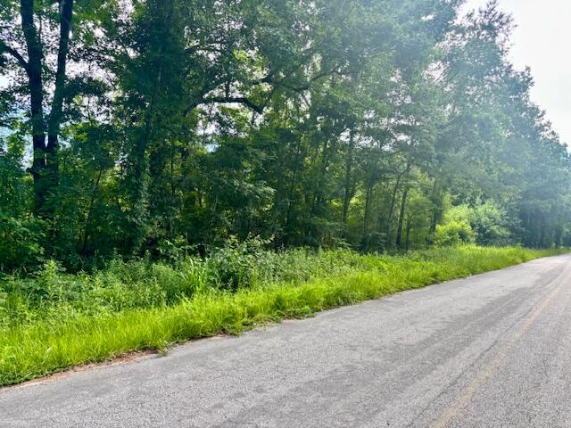 8946 Anderson Road Adams Run, SC 29426 - Photo 7 of 8 IMG_8453