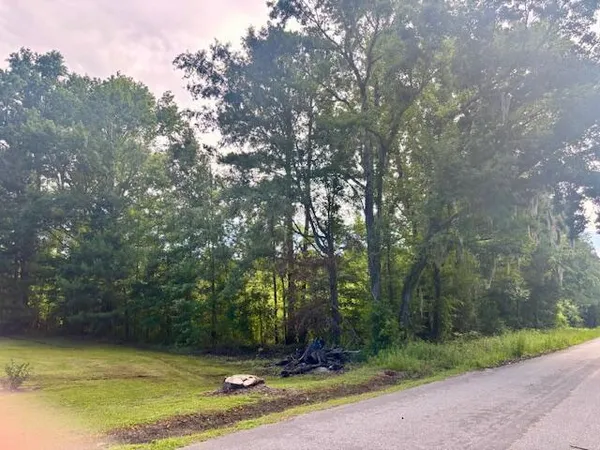 $250,000 | 8946 Anderson Road, Adams Run, SC 29426