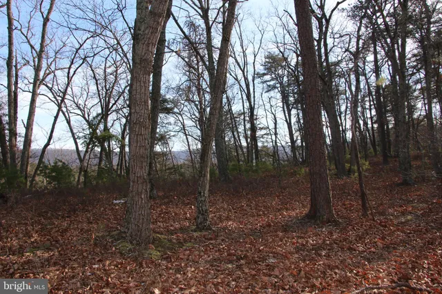 a view of backyard space