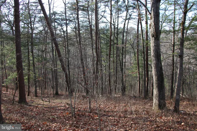 a view of outdoor space with lots of trees